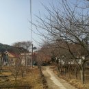 방갈로펜션 이미지