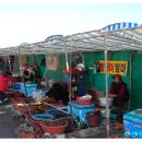 죽도물양장 이미지