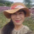 [행복한학교]요가명상치유 | 학부모를 위한 힐링강의,마음챙김,마음회복 싱잉볼명상요가