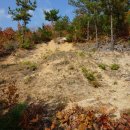 몬주익 영웅 이미지