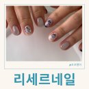 리세르네일 이미지