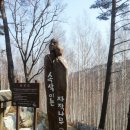 산상의들국화향기