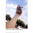 따봉 이미지
