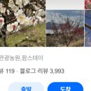 푸른봄정원