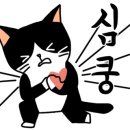 더나은펫 이미지