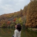 서울노원역우편취급국앞 | 서울근교 단풍명소 추천 | 용인외대 명수당 단풍 실시간 현황 &amp; 주차 꿀팁