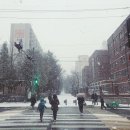 홍대부동산풍경공인중개사사무소 이미지