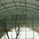 행구농장 이미지