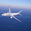 플라이 헤럴드경제