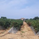 강구LPG충전소 이미지