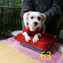 주승로 이미지