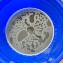 휴먼 크리닝 이미지