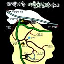 자작나무길펜션 Daum카페