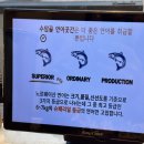 청주 복대동 지웰시티 연어 초밥 맛집 수암골연어곳간 솔직.. 후기