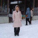 진성관광여행사