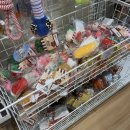 견생냥품 | [강아지용품점] 견생냥품 후기✨