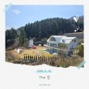 북한강 뷰가 아름다운 가평애견동반카페 &#39;The 강&#39; 감성 가득 후기