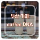 디엔에이컴퍼니 이미지
