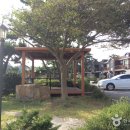 마리나비치 이미지