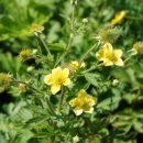 장수덕유산 이미지