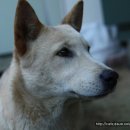 흰돌농장 이미지