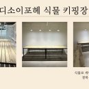 디소이포헤