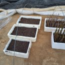 태경농원 이미지