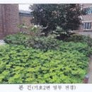 내곡동443 이미지