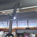제주애올레