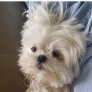해브커피