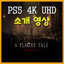 플래그스튜디오 티스토리