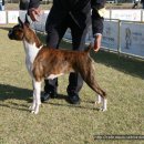 프라이드 켄넬 이미지