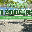 항도야영장 이미지