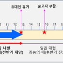 열왕의 준동과 3차세계전쟁 이미지