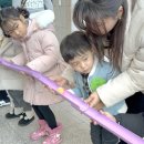 양구청과