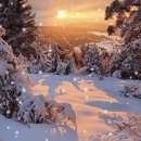 Sergei Chekalin - Snowfall 이미지