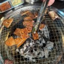 갈비메이트 이미지