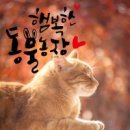 캘리그라피 이미지