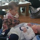 신진도조이 이미지