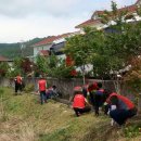 상영목장 이미지