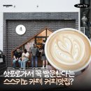 스타트라인 | 삿포로 스스키노 카페 바리스타트커피 솔직후기