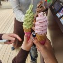 송원농장 | 강원도 2박3일 가족여행