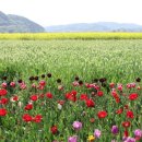 원리식당 이미지