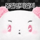 지에스25 삼산제일점 | 플레이브 gs25 지에스 콜라보 굿즈 MD