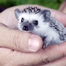 거기농장 이미지