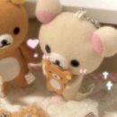 재주초밥 | 대전 재주초밥 웨이팅 초밥 맛집 내돈내산 솔직후기