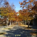 성남시청내 이미지