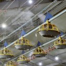 냉수농장 이미지