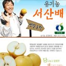 벧엘농원 이미지