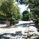 백송공인중개사 사무소 이미지